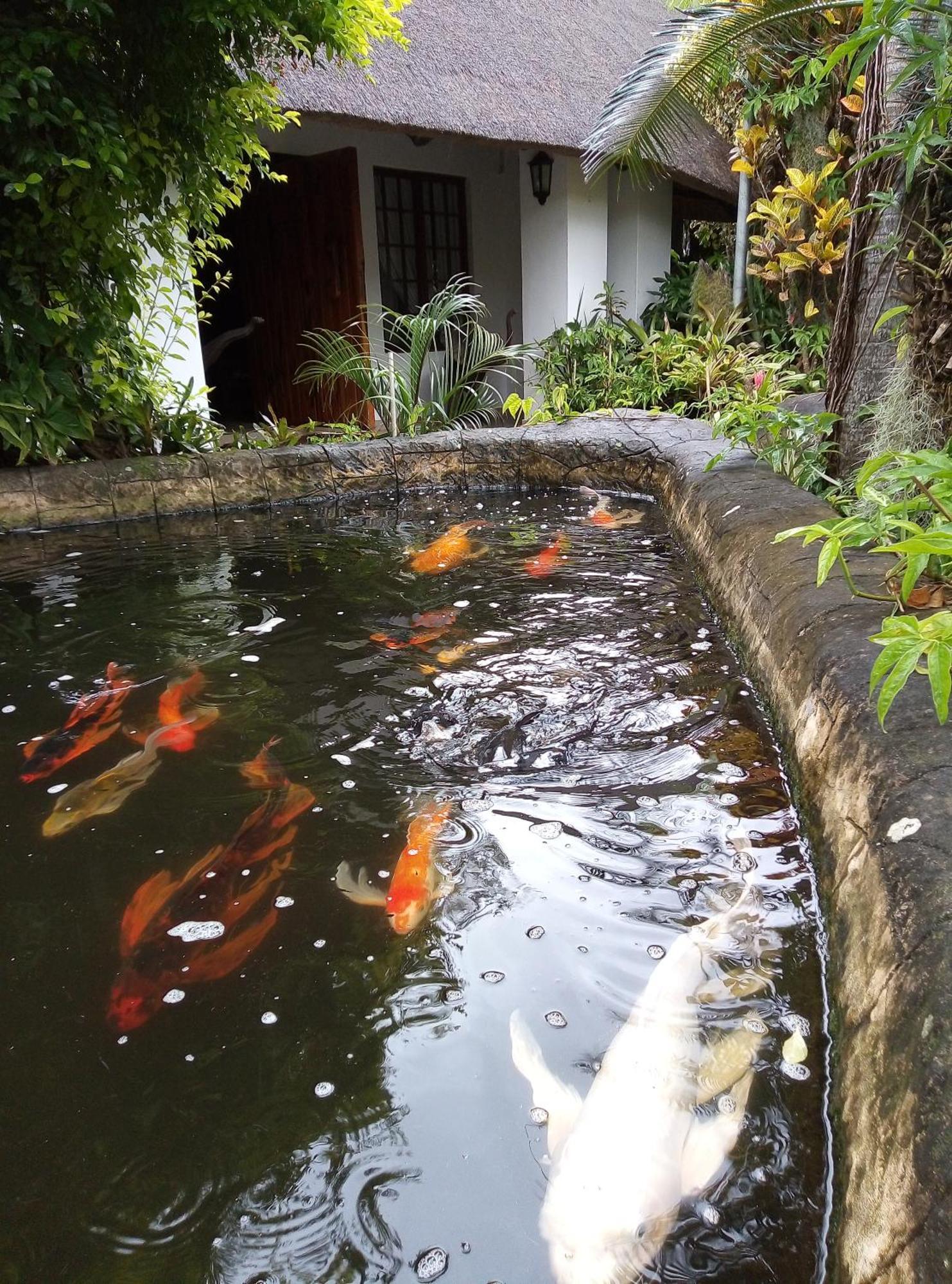 African Ambience Guest House Saint Lucia Estuary Exterior foto