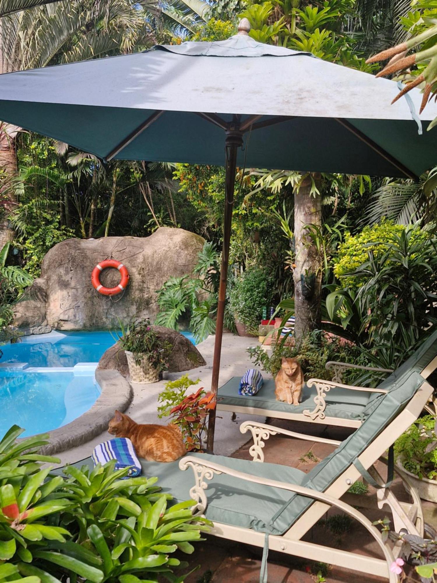 African Ambience Guest House Saint Lucia Estuary Exterior foto